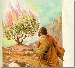 Moises y su encuentro con Dios, a los 80 años